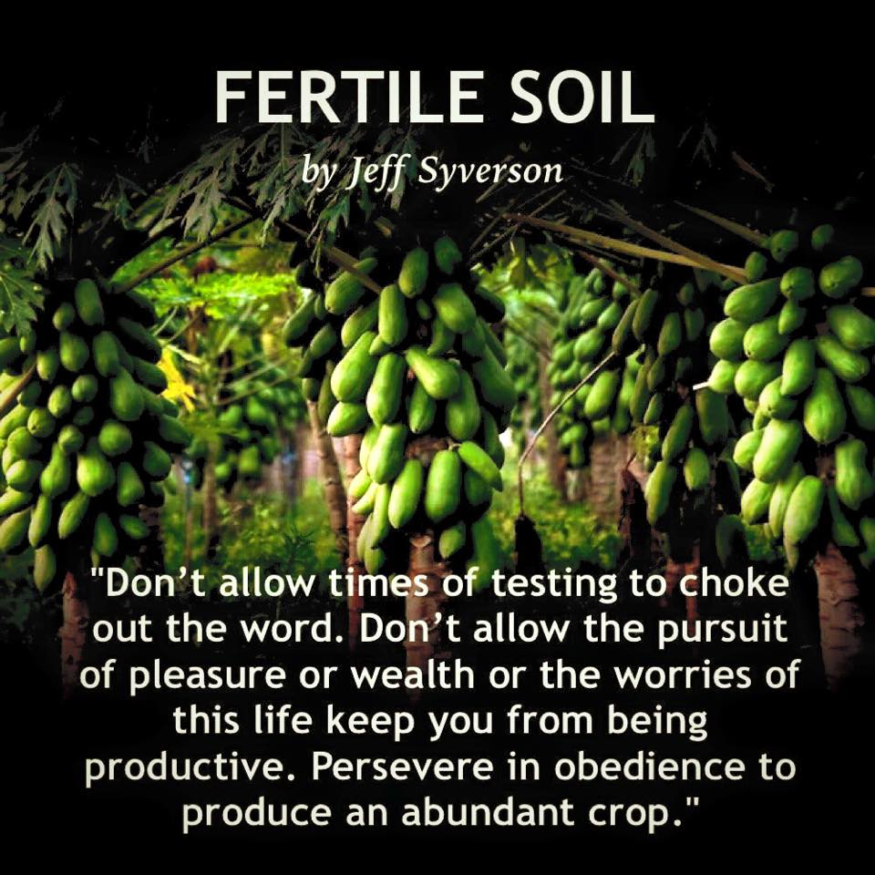 fertile soil = bountiful harvest